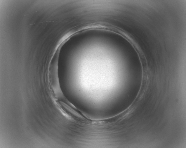 X0000081610858200701291425