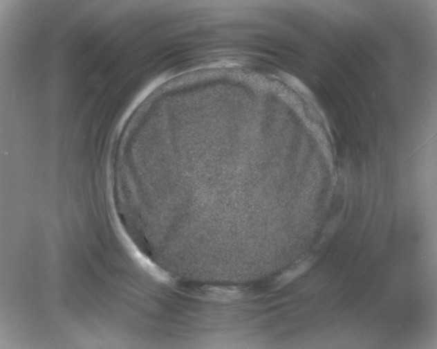 X0000081610859200701291425