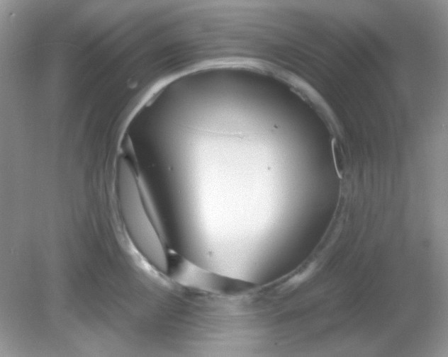 X0000081610860200701291425