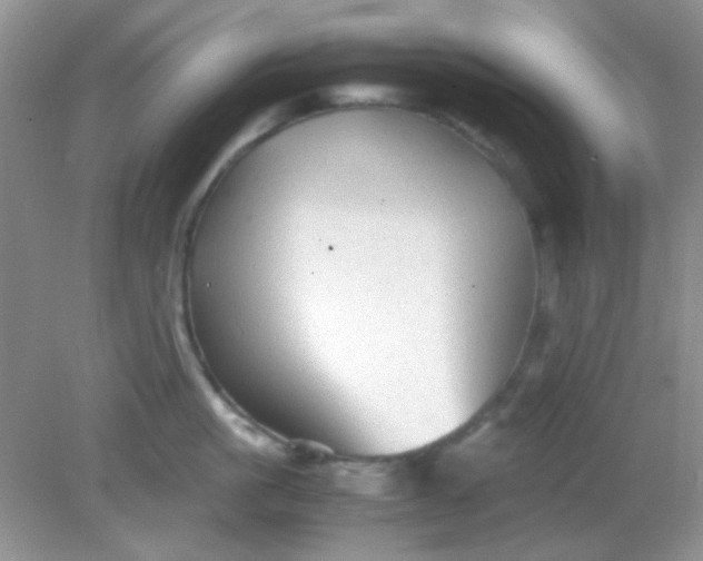 X0000081610861200701291425