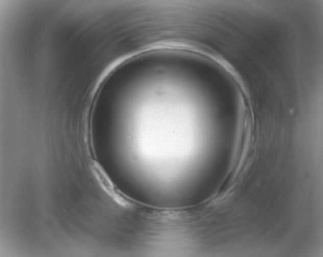 X0000081610862200701291425