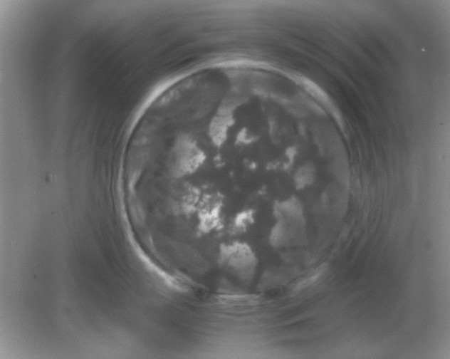 X0000081610863200701291425