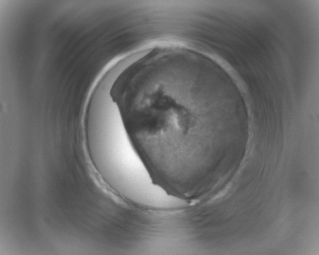 X0000081610864200701291425