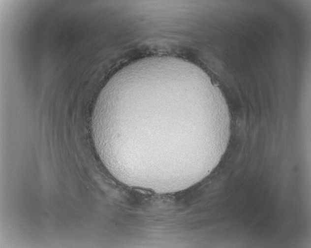 X0000081610865200701291424