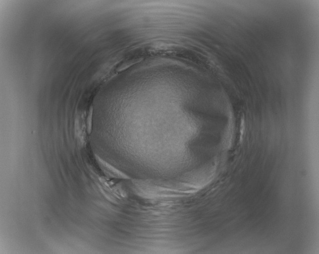 X0000081610868200701291424