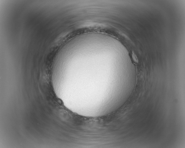 X0000081610869200701291424