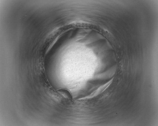 X0000081610870200701291424