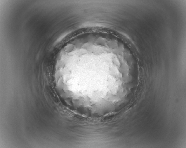 X0000081610871200701291424