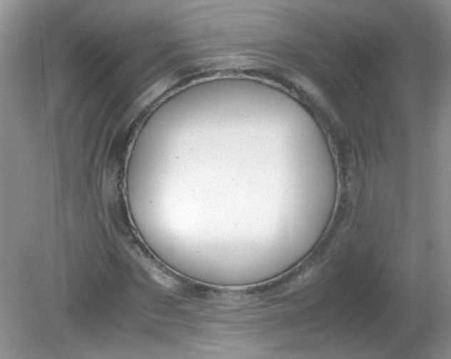 X0000081610873200701291424