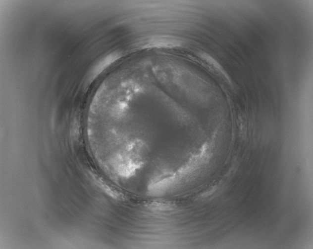 X0000081610874200701291424