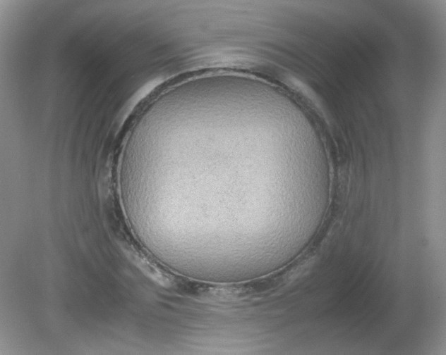 X0000081610875200701291424