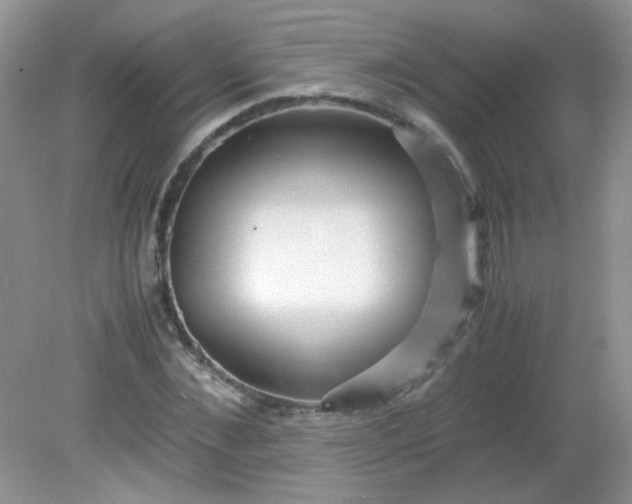 X0000081610876200701291424