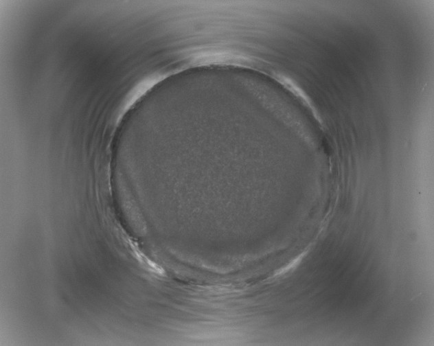 X0000081610877200701291424