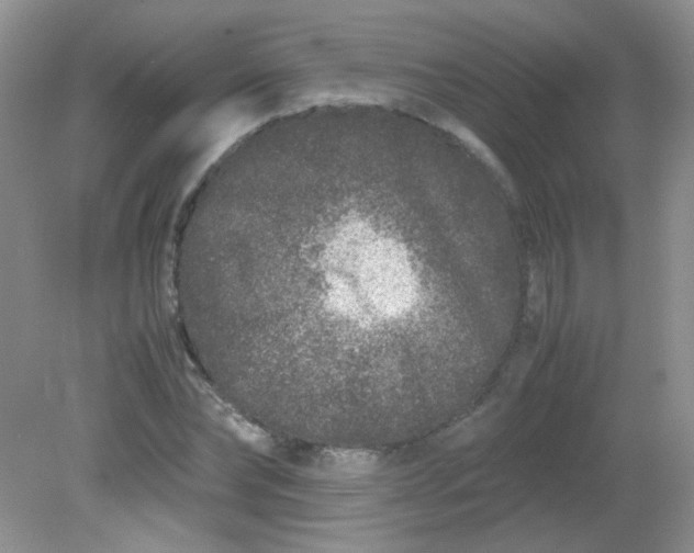 X0000081610878200701291424