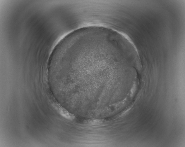 X0000081610879200701291424