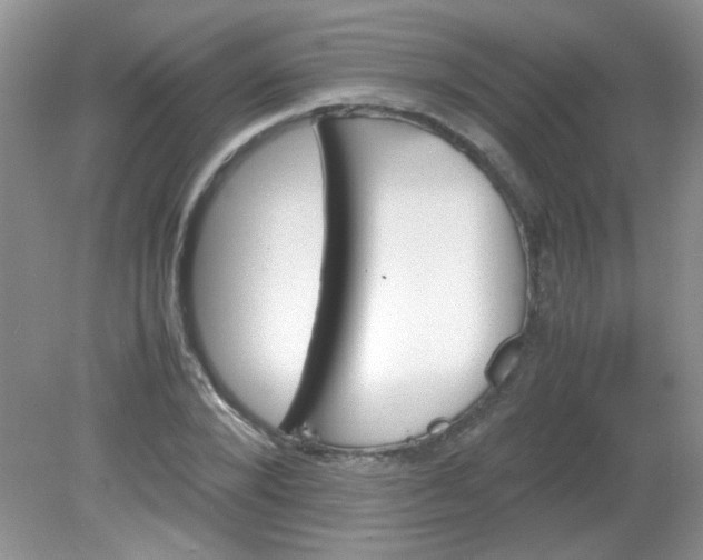 X0000081610880200701291424