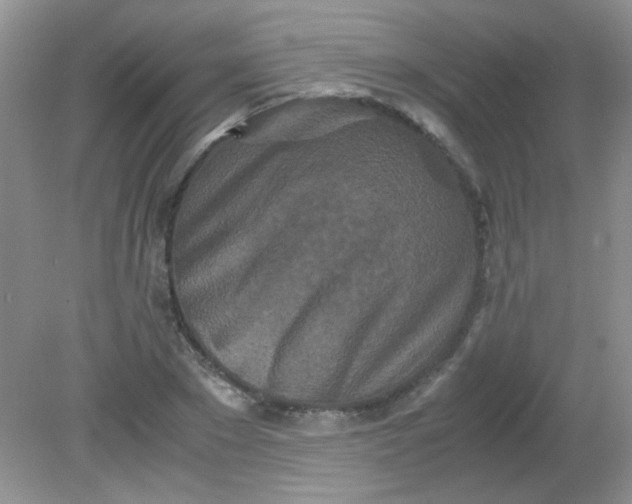 X0000081610881200701291424