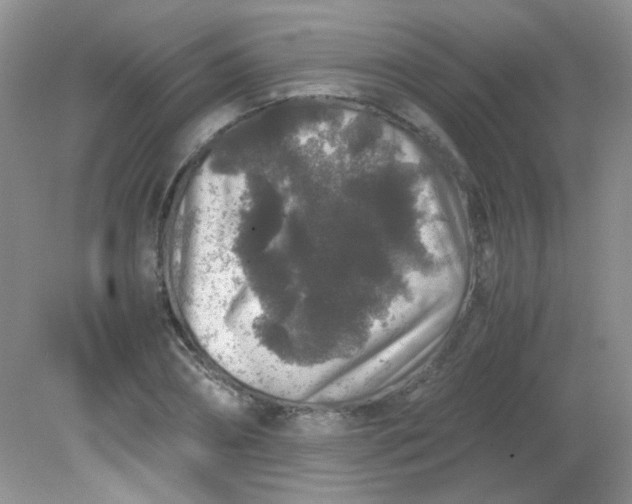 X0000081610882200701291424