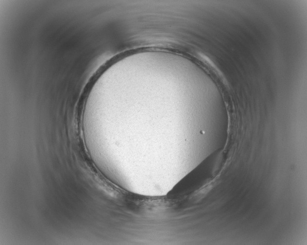 X0000081610883200701291424