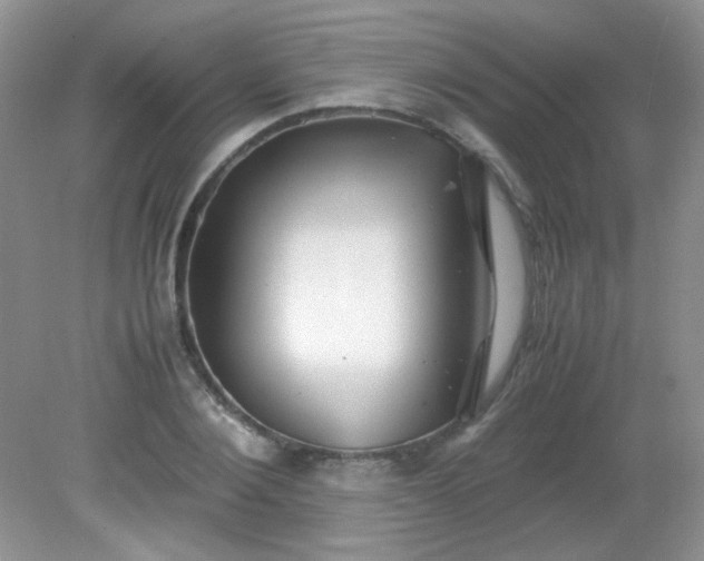 X0000081610884200701291424