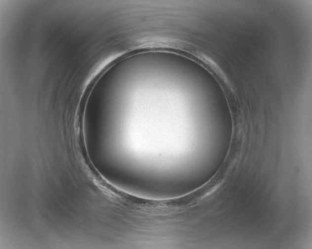 X0000081610885200701291424