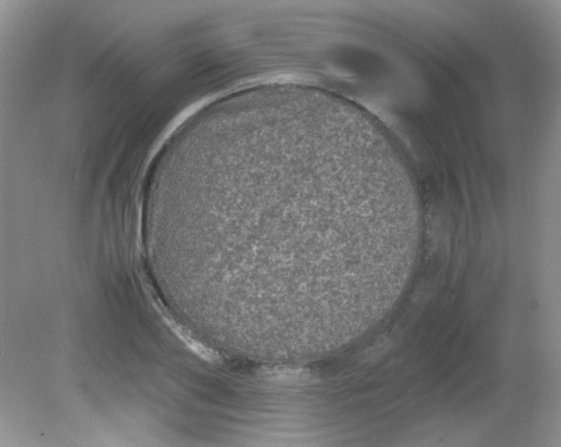 X0000081610886200701291424