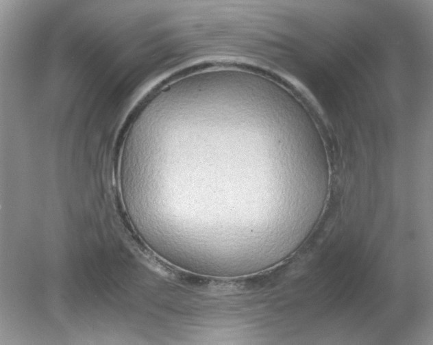 X0000081610887200701291424