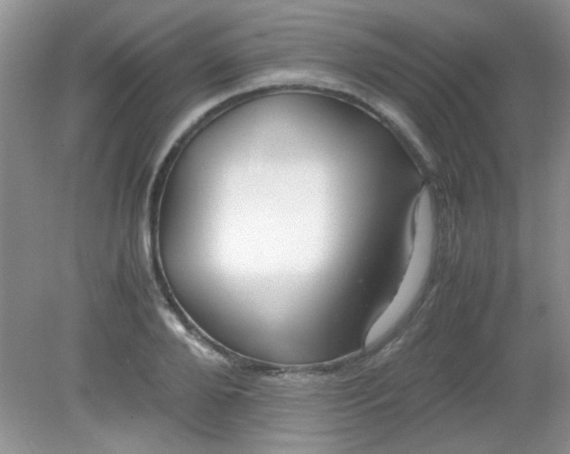 X0000081610888200701291424