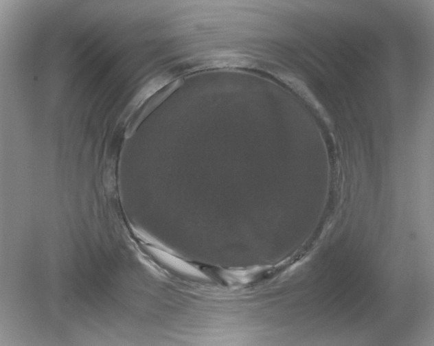 X0000081610889200701291424