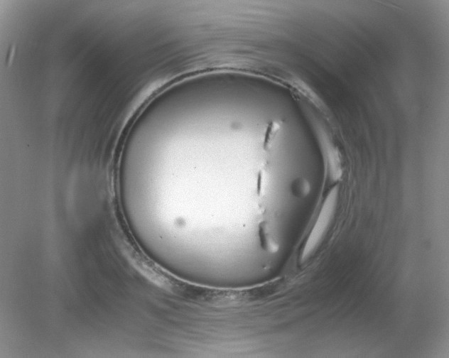 X0000081610891200701291424