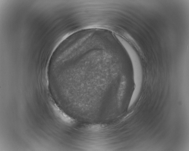 X0000081610892200701291424