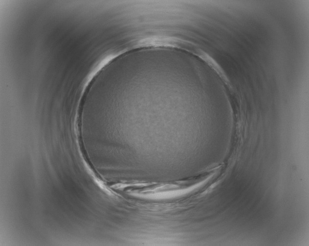 X0000081610893200701291424