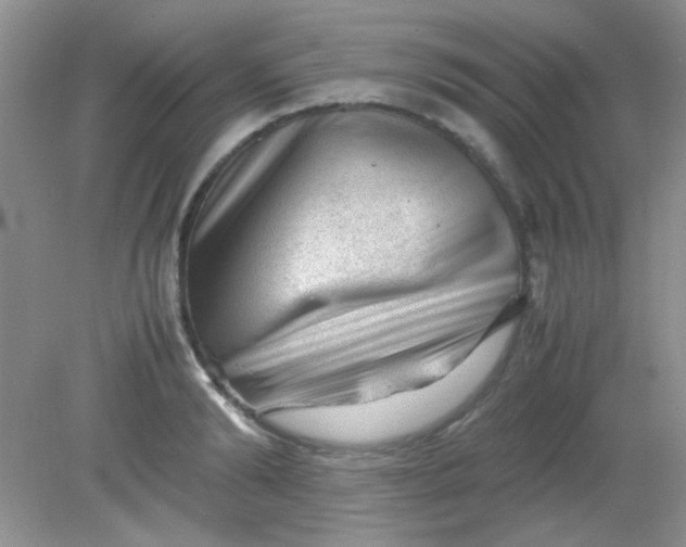 X0000081610894200701291424