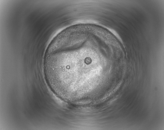 X0000081610895200701291424