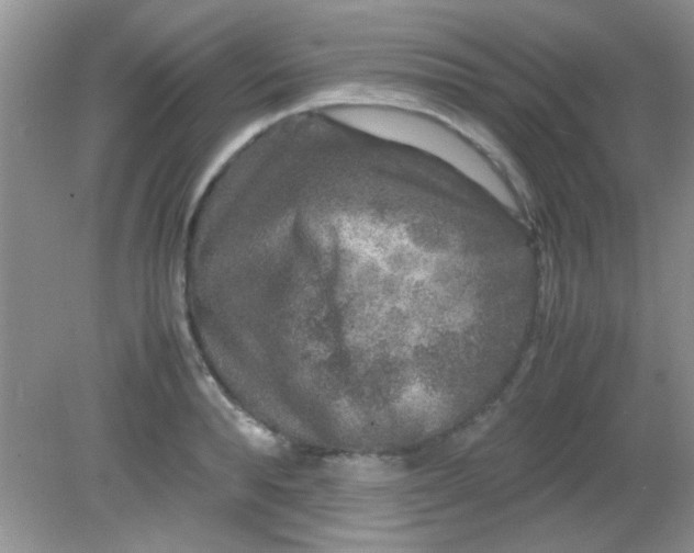 X0000081610896200701291424