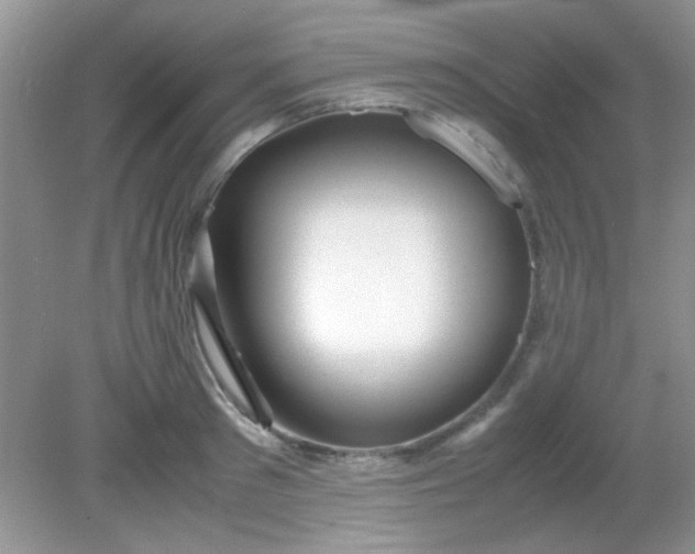 X0000081610897200701291424