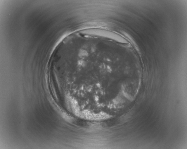 X0000081610899200701291424