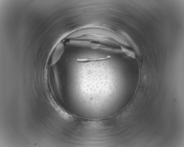 X0000081610900200701291424