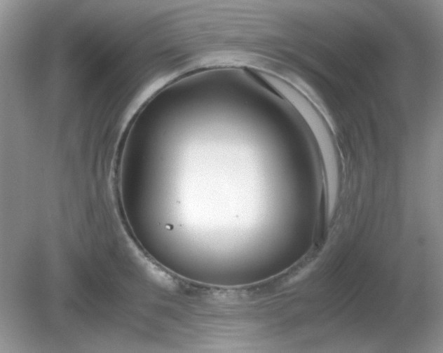 X0000081610901200701291424