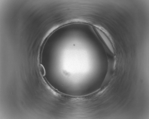 X0000081610902200701291424