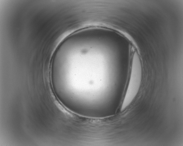 X0000081610903200701291424