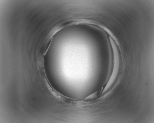 X0000081610905200701291424