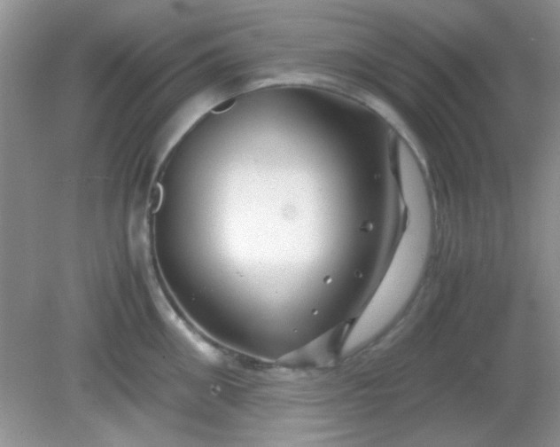 X0000081610906200701291424