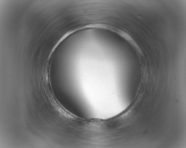 X0000081610908200701291424