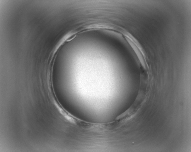 X0000081610909200701291424