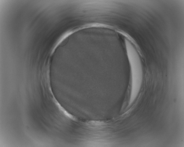 X0000081610910200701291424