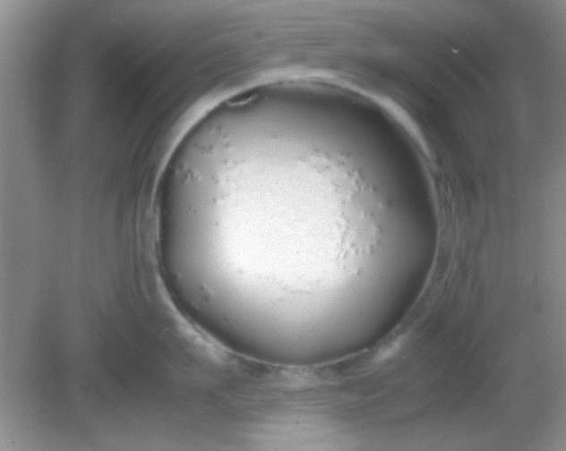 X0000081610911200701291424