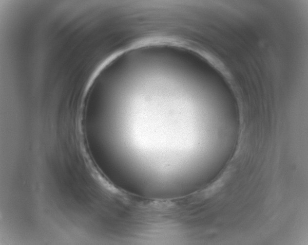 X0000081610912200701291424