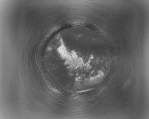 X0000081610913200701291423