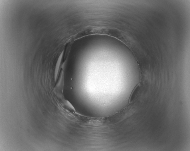 X0000081610914200701291423